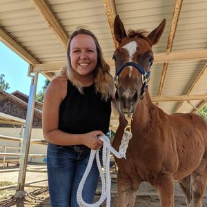 Meet your Posher, Megan